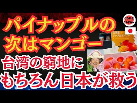 【救援】またも中国の政治戦略か？！パイナップルに続いて台湾マンゴー危機を救うため日本が立ち上がる！日台友好は永遠に