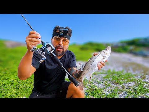 PESCANDO EM UMA ILHA ISOLADA - Peixes do mar