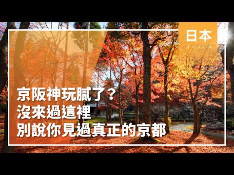 ⍙達人推薦⍙京阪神玩膩了？沒來過這裡，別說你見過真正的京都│日本│京都│花鳥風月│金質獎