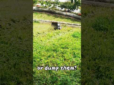 Would you choose to collect grass clippings or dump them? #electricmower #mowing #lawncare