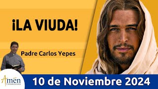 Evangelio De Hoy Domingo 10 de Noviembre 2024 #PadreCarlosYepes l San Marcos 12, 38-44