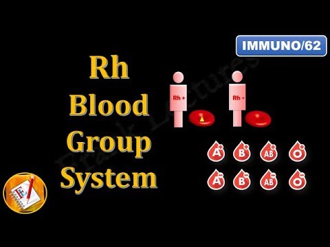 Rh Blood Group System (FL-Immuno/62)