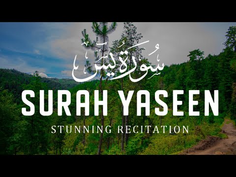 Most beautiful recitation of Surah Yaseen (Yasin) سورة يس