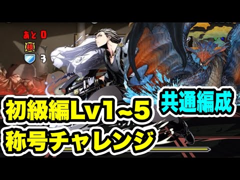 【共通編成】ガンホーコラボ 初級編Lv1~5 & 称号チャレンジ クリア編成紹介！！【パズル&ドラゴンズ/#パズドラ】