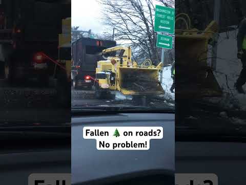 Road workers clearing roads after storm