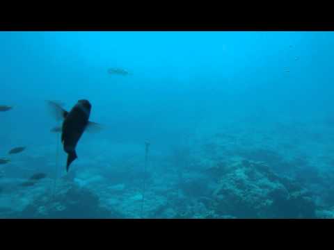 沖繩海中展望塔