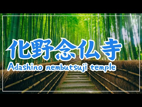 【3min Kyoto】3分で巡る「化野念仏寺」~Adashino nembutsuji tenple, Kyoto Japan~