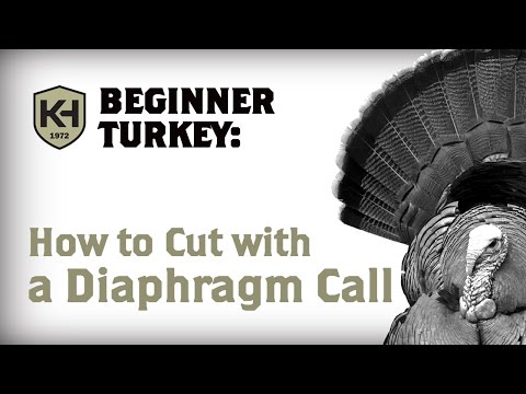 How to Cut on a Diaphragm Call: Turkey Calling For Beginners