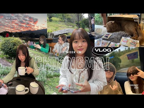 paiiinntt first vlog! | เชียงใหม่หนึ่งอาทิตย์ ไปเที่ยวไหนดี?  (vlog by paiiinntt)