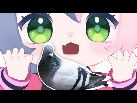 PIGEONS!!! Punkalopi's Obsession !VPN