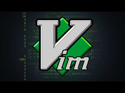 The Vim Experience