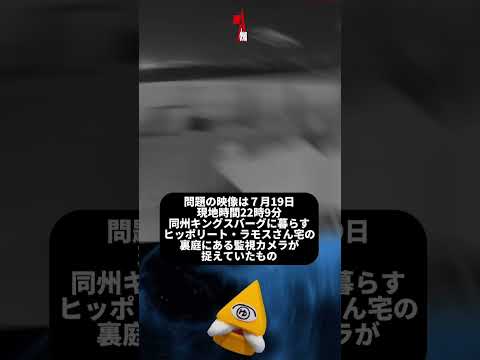 スペースクリッターか？ 監視カメラに映った「有機的UFO」