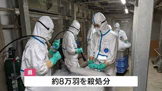 高病原性鳥インフルエンザウイルスの疑い　出水市の養鶏場でニワトリの殺処分続く　鹿児島（2022.11.25）