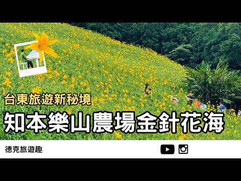 Taitung | New Gem: Stunning Daylily Fields Hidden in the Mountains |【#TravelWithDex Vlog 36】#Travel