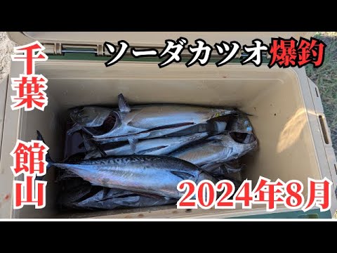 【千葉　館山】まだまだ釣れる！コマセ爆弾でソーダカツオが入れ食い　#ソウダガツオ　#カツオ　#サビキ　#千葉釣り　#館山　#カヤックフィッシング　#カヤック