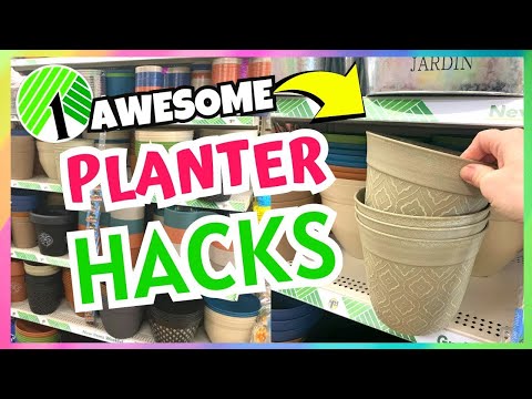 GORGEOUS DOLLAR TREE PLANTER DIYS! | OUTDOOR SUMMER DIYS