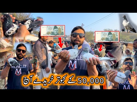 50,000 ka Kabootar Khariday Part (1)