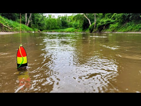 BOBBER FISHING For A Meal!! (Wade Fishing)