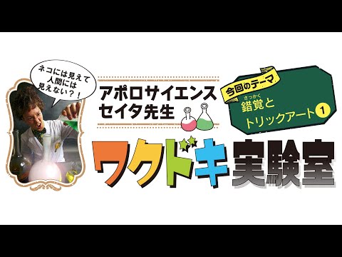 【錯覚とトリックアート❶】セイタ先生のワクドキ実験室　「人間と動物の目」と「ソーマトロープ」、「一本の線」