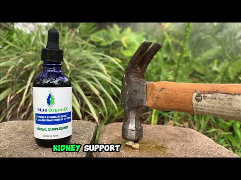 Chanca Piedra Stone Breaker Extract: A Natural Alternative for Kidney Stones – Blue Organix