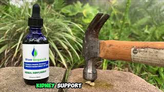 Chanca Piedra Stone Breaker Extract: A Natural Alternative for Kidney Stones – Blue Organix