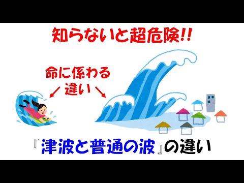 【命を守る】3分で理解する津波と普通の波の違い。【地震】【波浪】