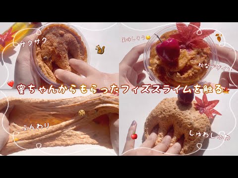 みつちゃんからもらったフィズスライム🐿🍁🍂🍎🥧