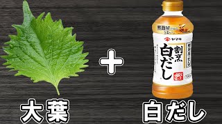 大葉の簡単レシピ！【大葉の簡単浅漬け】白だしで作る簡単漬物でご飯が止まらない！絶品おかずの作り方/大葉レシピ/漬物レシピ/作り置きおかず/お弁当おかず【あさごはんチャンネル】