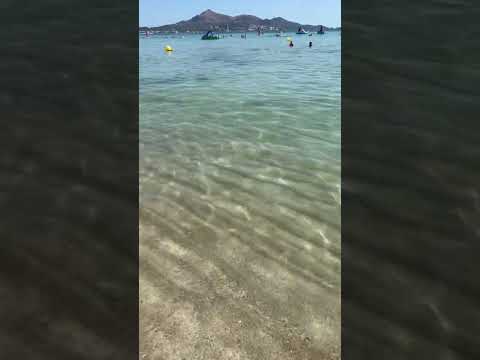 Incredible clear water | Mallorca #clearwater #mediterranean #mallorca #españa #spain #beach