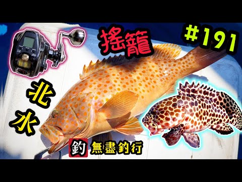 杜小銘的無盡釣行#191_#釣魚 #香港釣魚 #釣り #艇釣 #船釣 #雞魚 #花頭梅 #誘餌籠 #搖籠 #五目釣り #伊佐木 #赤鱲 #真鯛  #鱲魚 #芝麻斑  #北水 #黑沙 #港水 #黑鱲