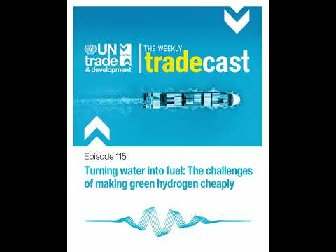 Turning water into fuel: The challenges of making green hydrogen cheaply