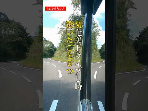 初めての奄美ドライブした時、驚いたこと5つ #奄美大島 #奄美旅行 #36sec_trip