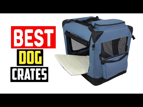 ✅Top 5 Best Dog Crates in Every Type in 2024