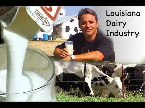 La's Dairy Industry (2008)