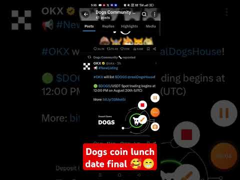 dogs coin lunch date #dogs #dogshorts #shortvideos #viralshort