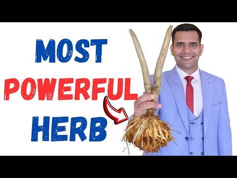 Most Powerful Herb For male and Female Health - Dr. Vivek Joshi