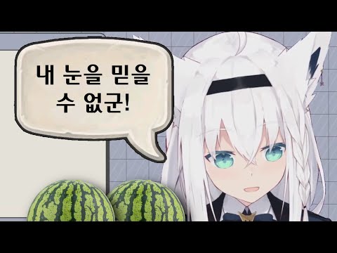 단장보다 큰 사람을 봤다고? [시라카미 후부키]