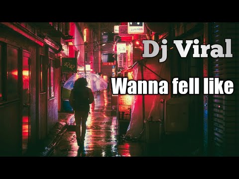 CAMPURAN DJ WANNA FELL LIKE__viral tiktok