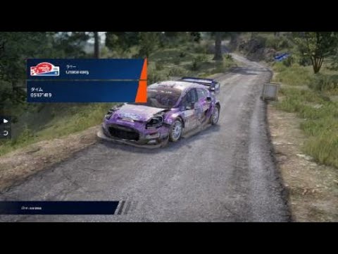 WRC Generations – The FIA WRC Official Game_20241219073028