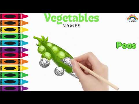 Creative Vegetable Name#4 Art | Drawing and Learn