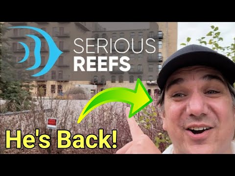 BRS Ryan Has Started His Own YT Channel! The Prestige Reef Dork Show Ep 70 (incl. Nicrew Giveaway)