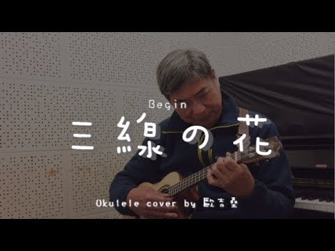 三線の花 ( Begin ) - Ukulele cover by  歐吉桑