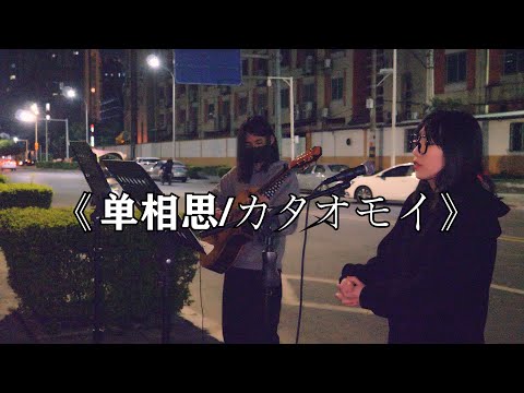 在街头弹唱 Aimer《单相思/カタオモイ》