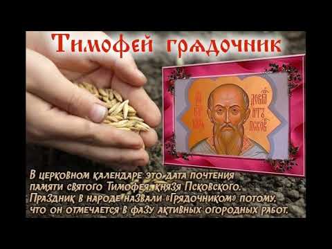 2 июня Тимофей Грядочник