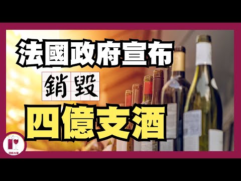 【重大危機】酒瓶故事就快收皮？法國花費二億歐元銷毀葡萄酒 (粵語中字)【酒瓶故事】