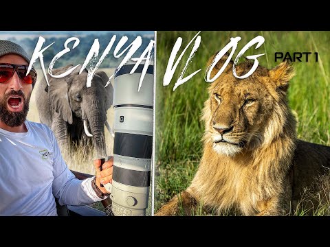 Kenya LUXURY Safari - Loisaba Tented Camp (Elewana Collection) ep.1/3