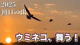 【元旦】人生初の初日の出に行ったらうみねこがやばいことにwww