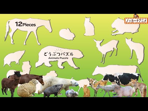 リアルな動物パズルであそぼう！知育アニメ【赤ちゃん・子供向け動画】Real animals puzzle for kids