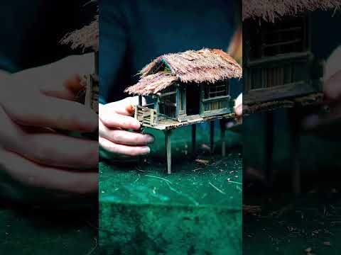 Transform Your Tiny Tank with Cottages Aquascaping | Pondon Aquarium