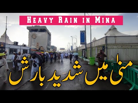 Heavy rain 🌧️ in Mina | hajj news update today | Usman Tahir Jappa | mina live |